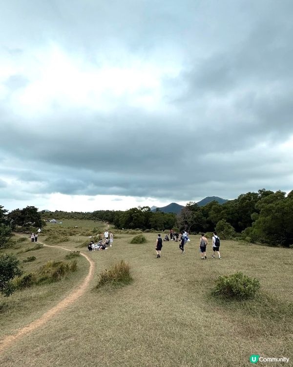 馬鞍山昂平大草原🐄🐮☘️☘️🌴