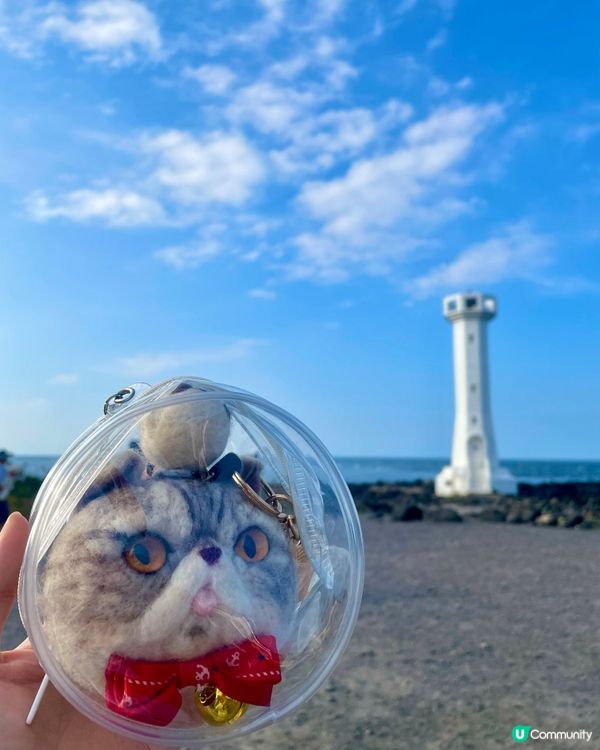 🇰🇷濟洲 牛島 踩單車環島遊🚲