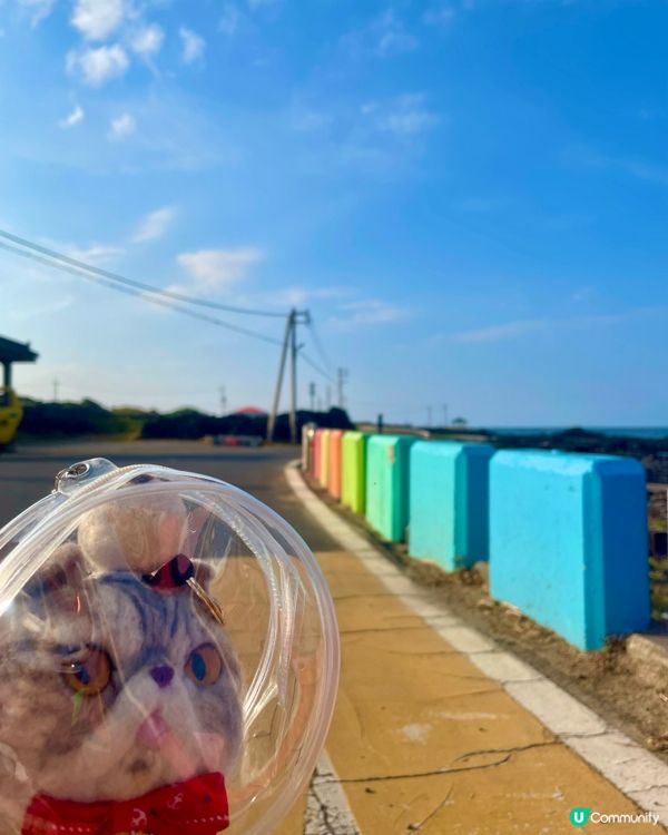 🇰🇷濟洲 牛島 踩單車環島遊🚲