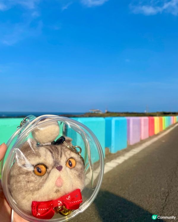 🇰🇷濟洲 牛島 踩單車環島遊🚲