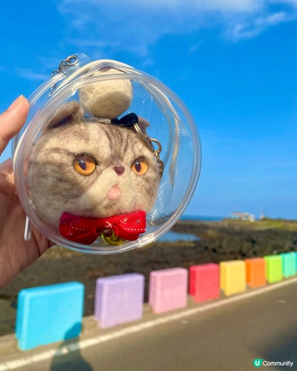 🇰🇷濟洲 牛島 踩單車環島遊🚲