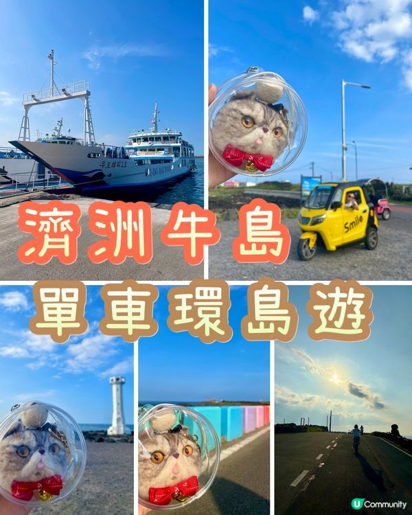 🇰🇷濟洲 牛島 踩單車環島遊🚲