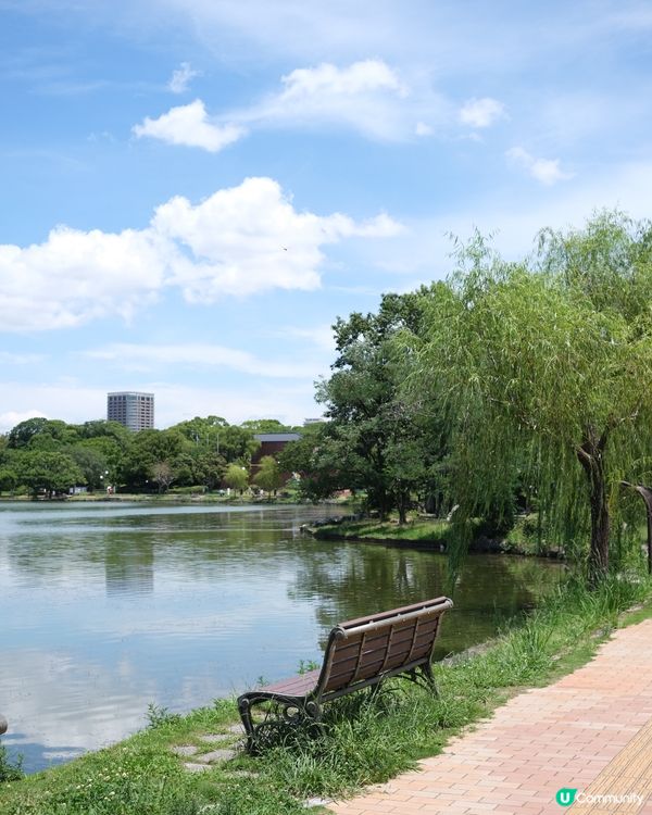 福岡必去 大濠公園🍃