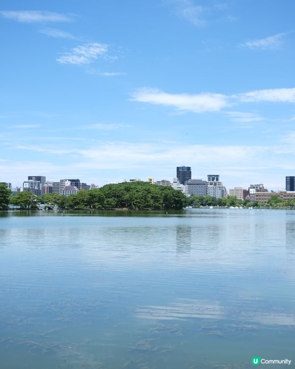 福岡必去 大濠公園🍃