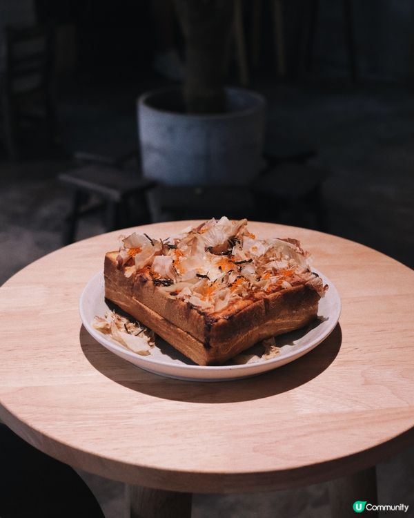 北角 Pet Friendly Cafe Dozy☕️