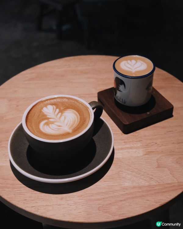 北角 Pet Friendly Cafe Dozy☕️