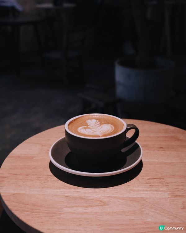 北角 Pet Friendly Cafe Dozy☕️