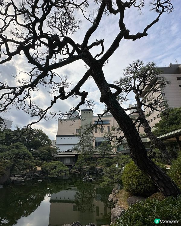 🇯🇵北九州日式旅館🏞️主打日本庭園✨