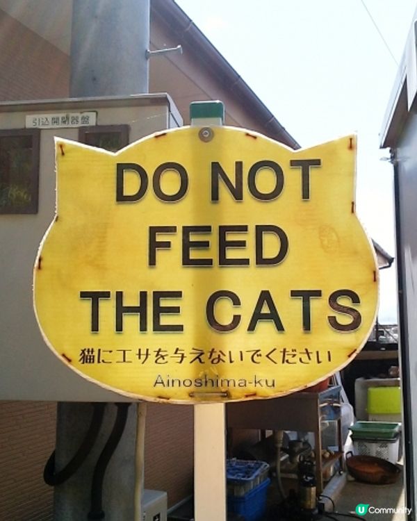 Hi貓奴🐱 🇯🇵福岡『相島』200貓貓等住你🌸