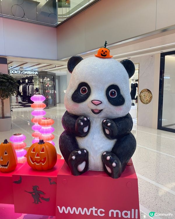 熊貓經濟周圍都係🤣🐾🐼