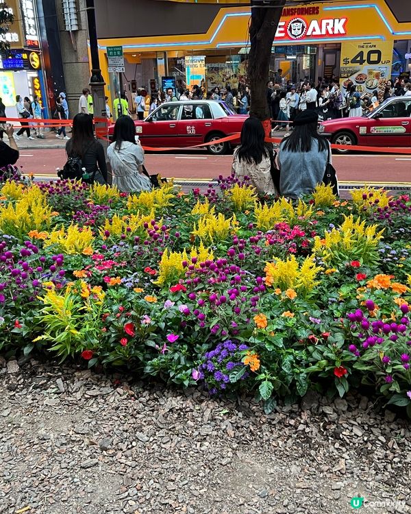 好靚嘅花花🌺🍀☘️🌷