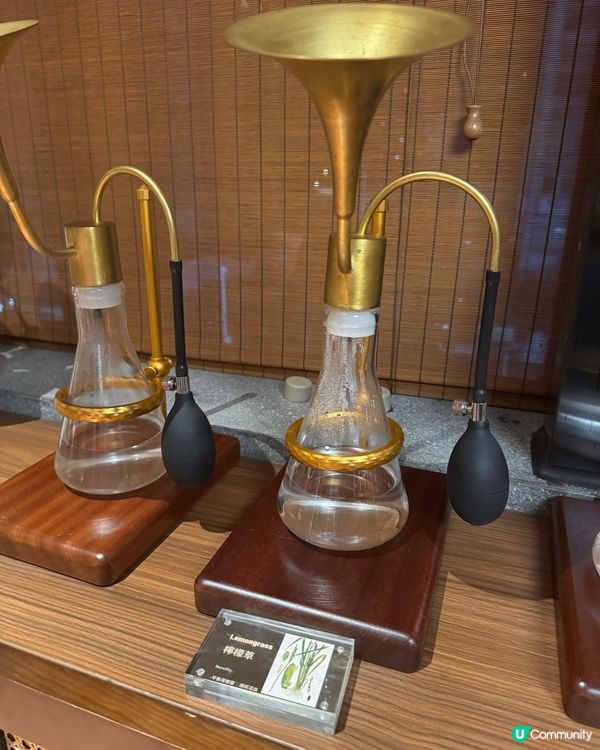  珠海高質泰式按摩Spa