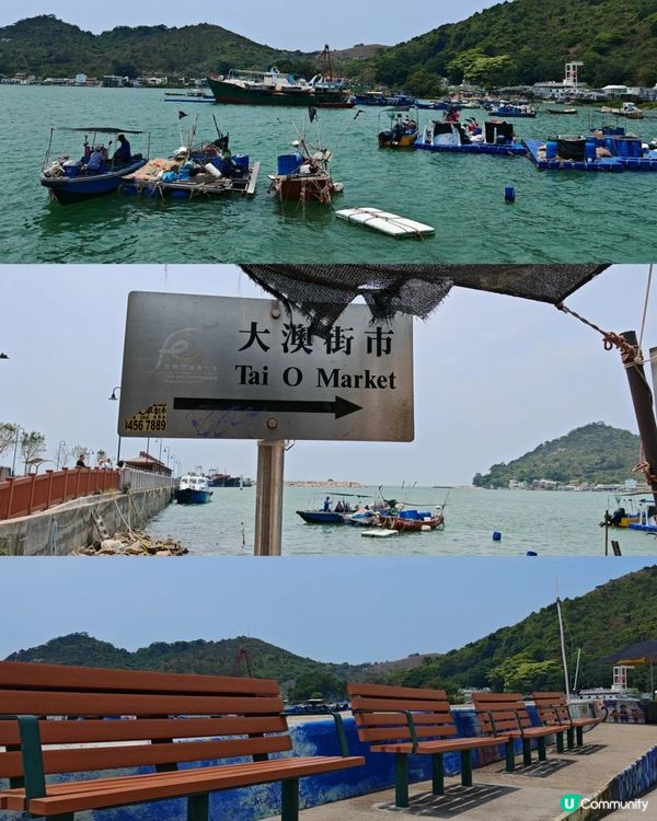 港版威尼斯😍🔥大澳虎山郊遊食玩影路線詳盡分享 