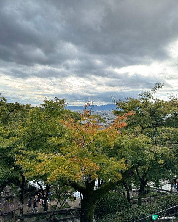 11月尾紅葉季🍁