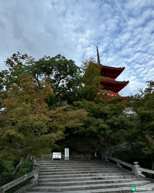 11月尾紅葉季🍁