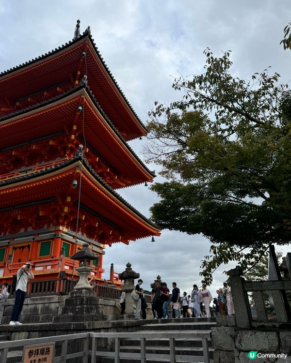 11月尾紅葉季🍁