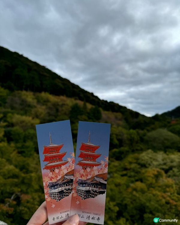 11月尾紅葉季🍁