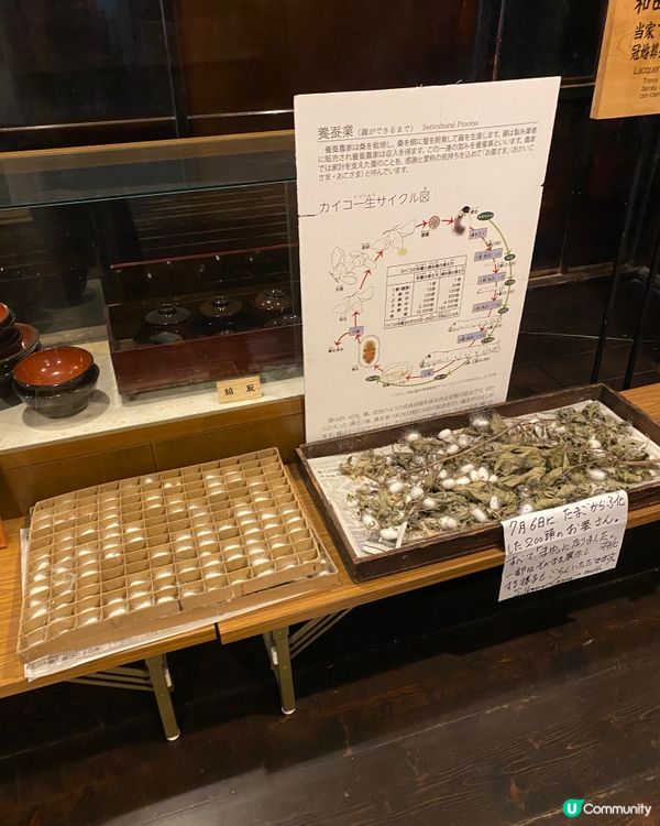  《和田家》🎌白川鄉🎌國指定重要文化財產~