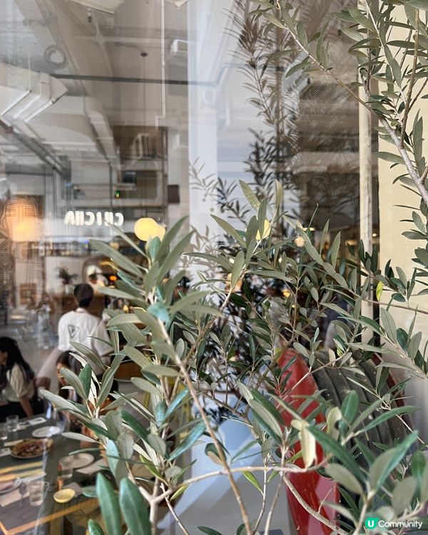 上環｜新店開箱｜韓系意大利咖啡廳🇰🇷