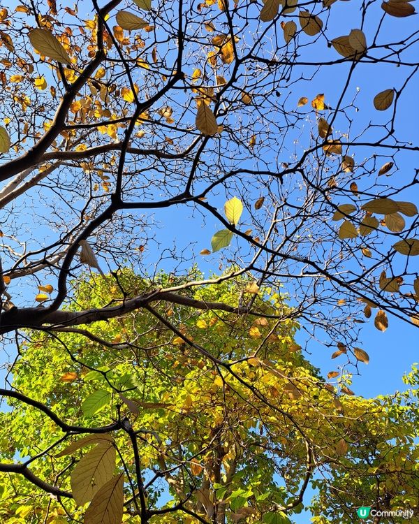 北京頤和園--大約在冬季