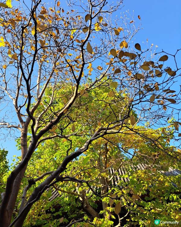 北京頤和園--大約在冬季