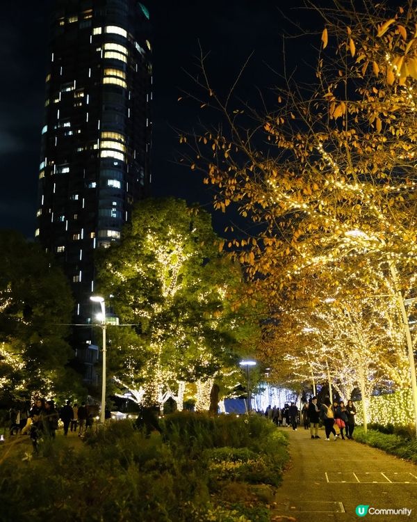 東京聖誕🎄新宿燈飾✨浪漫滿瀉！