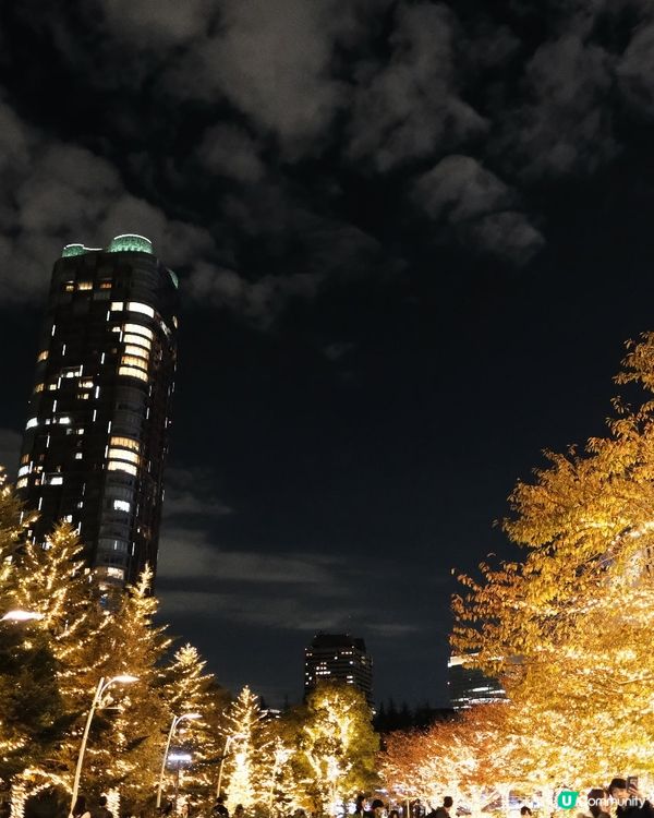 東京聖誕🎄新宿燈飾✨浪漫滿瀉！