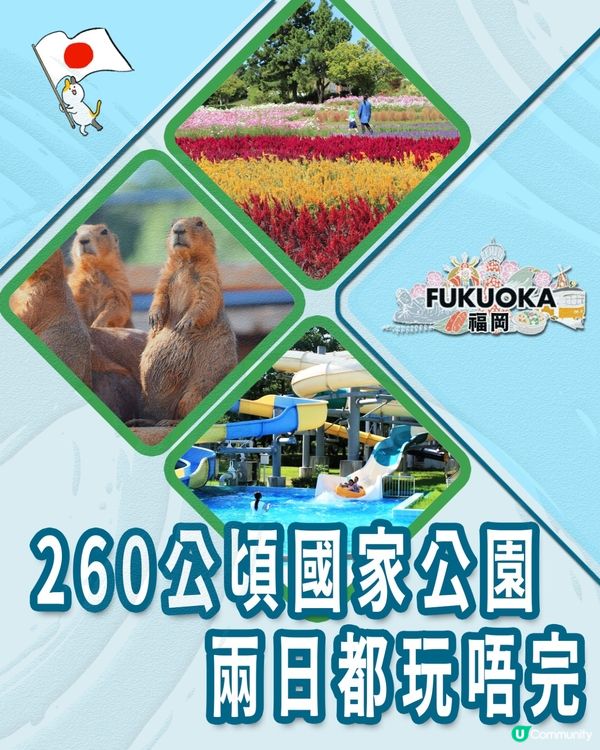 🇯🇵🎯福岡海之中道海濱公園🔎國家級景點介紹 🌊