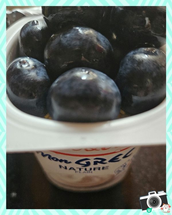 Elle & Vire Mon Greek Style