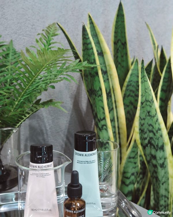 終於登陸香港啦🥳🎉