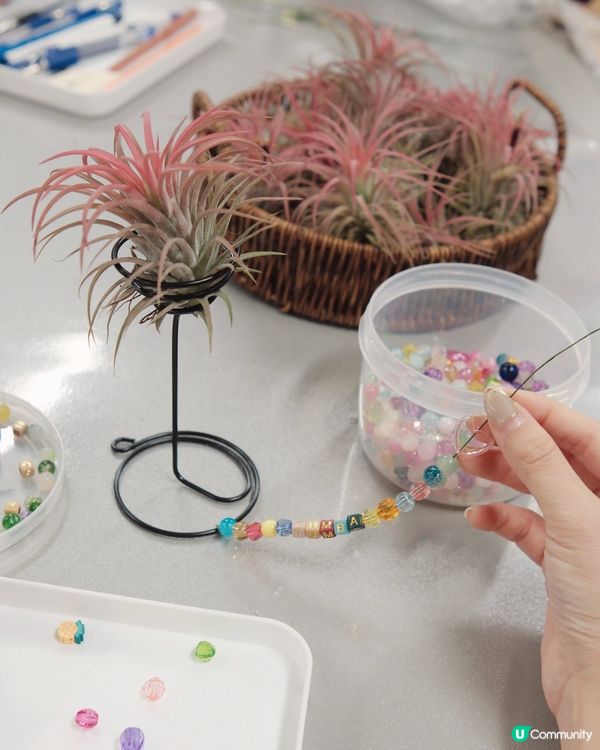 陪您森呼吸 💚  照顧者療癒之旅