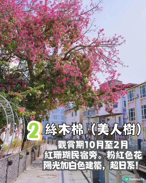 深圳大鵬較場尾攻略🏖️較場尾7大必去打卡位‼️附絕美度假風民宿推介