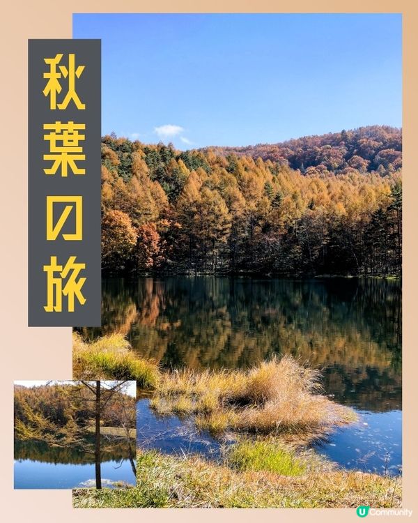 長野紅葉🍁🍂  御射鹿池！