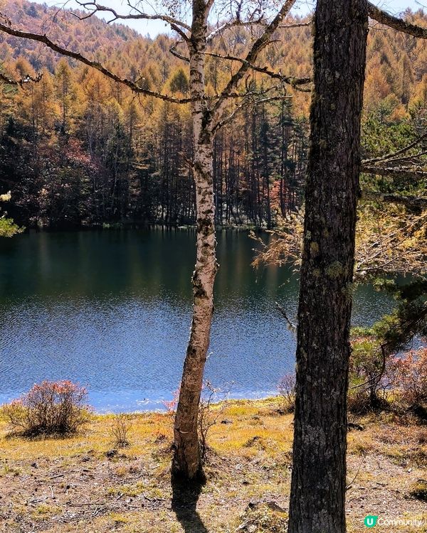 長野紅葉🍁🍂  御射鹿池！