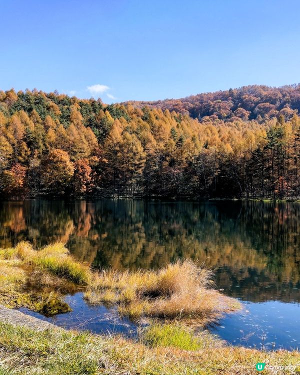 長野紅葉🍁🍂  御射鹿池！