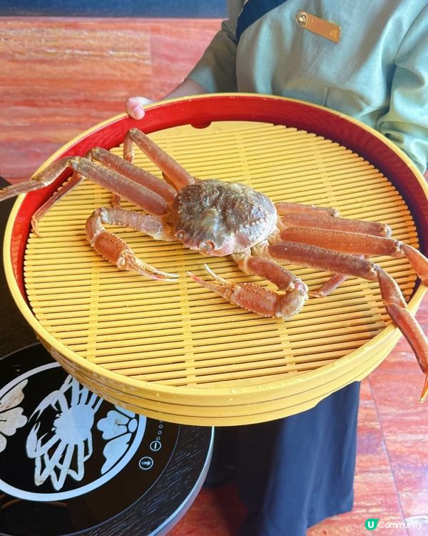 深圳灣蟹仙宴🦀️  畫舞盛宴，味蕾驚艷！