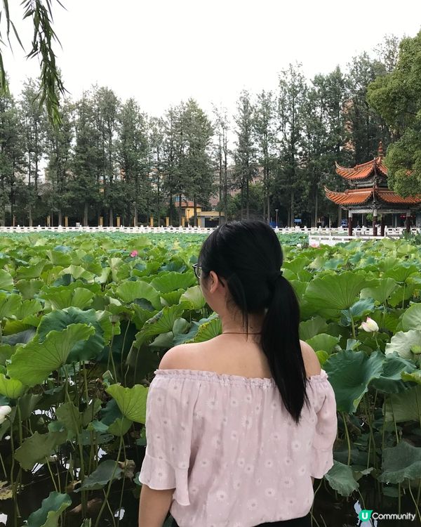 ## 昆明翠湖公園💛感受少數民族氣氛😍