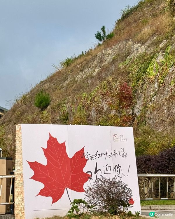 🍁🍂廣東韶關嶺南紅葉世界🍁🍂