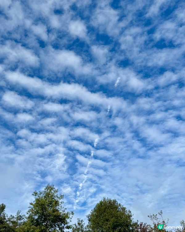 🍁🍂廣東韶關嶺南紅葉世界🍁🍂