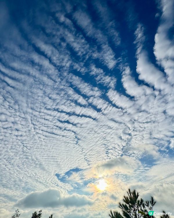 🍁🍂廣東韶關嶺南紅葉世界🍁🍂
