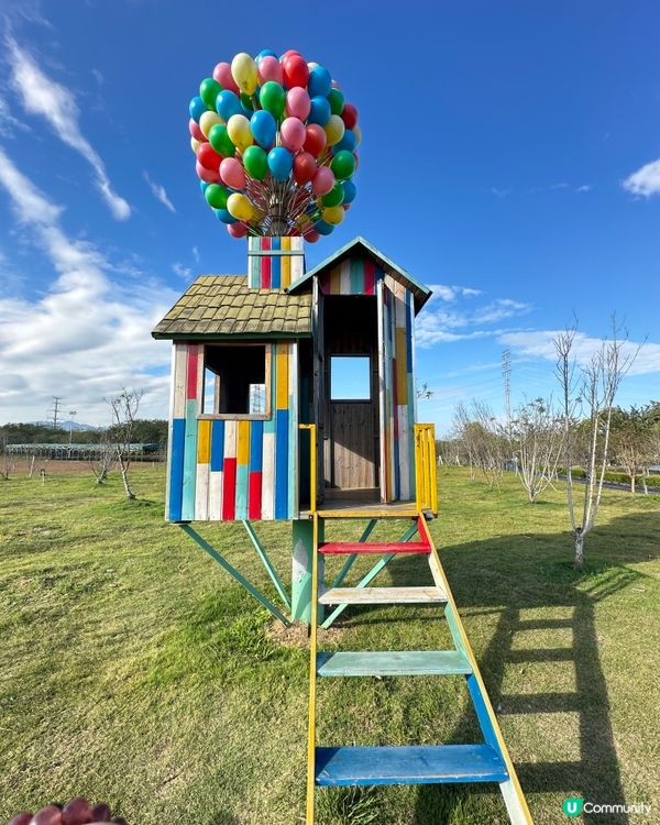 千花洲 花花世界