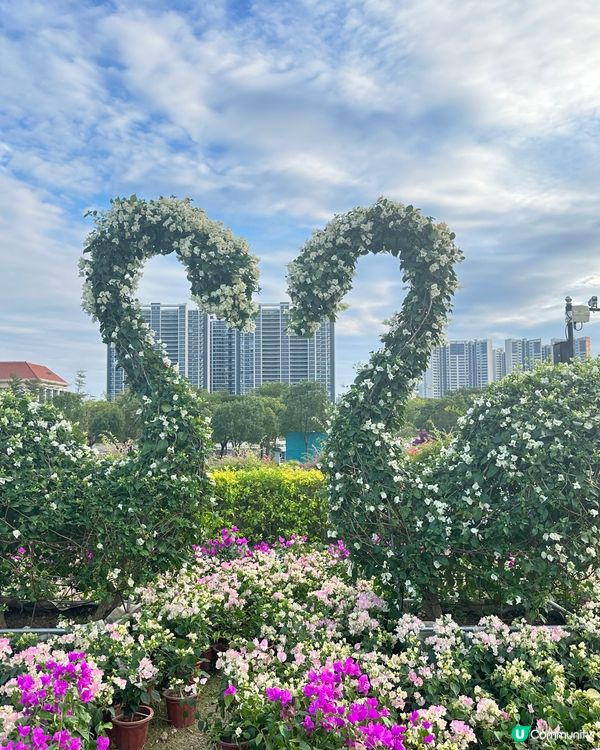 千花洲 花花世界