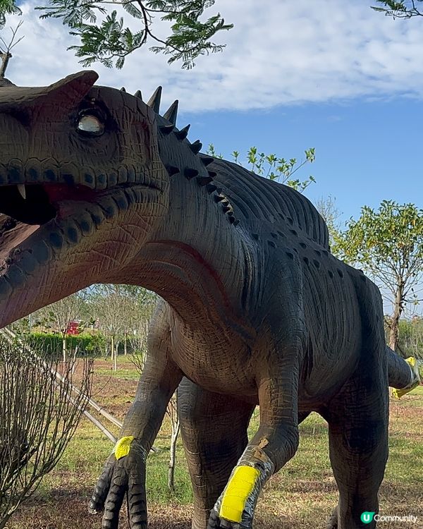 千花洲 花花世界