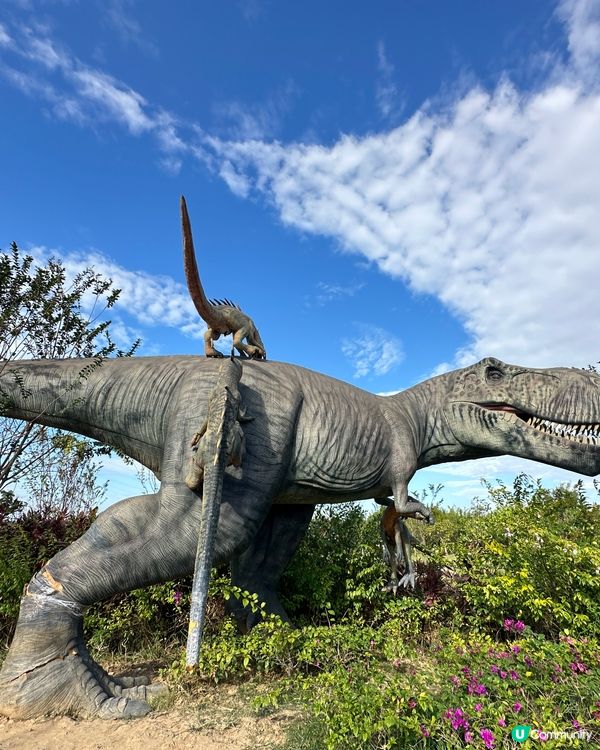 千花洲 花花世界