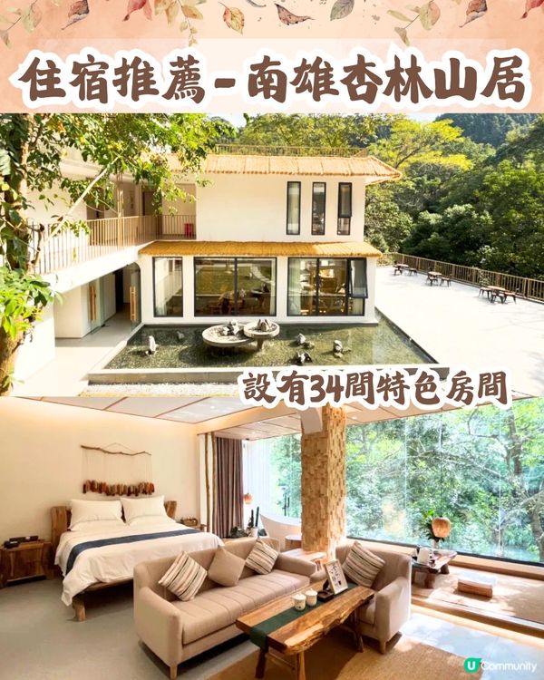 韶關打卡紅葉/銀杏3大推介🍁10萬畝銀杏/8萬棵楓樹！超唯美😍