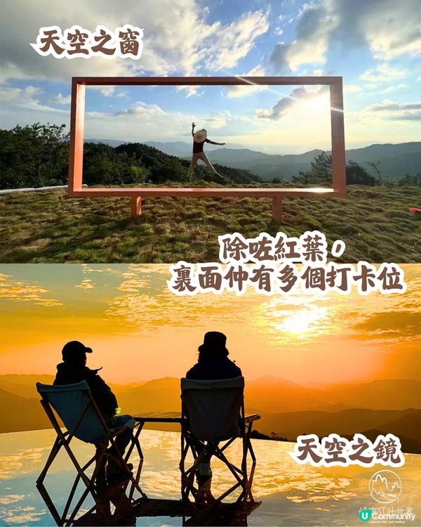 韶關打卡紅葉/銀杏3大推介🍁10萬畝銀杏/8萬棵楓樹！超唯美😍