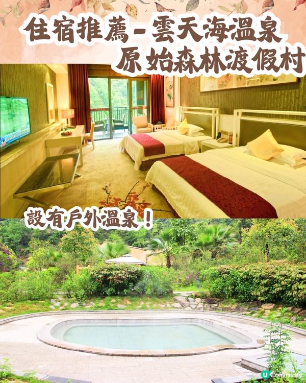 韶關打卡紅葉/銀杏3大推介🍁10萬畝銀杏/8萬棵楓樹！超唯美😍