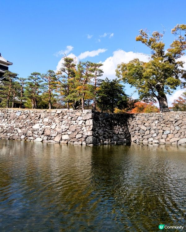 ## 松本城打卡📸  秋葉美景🍂