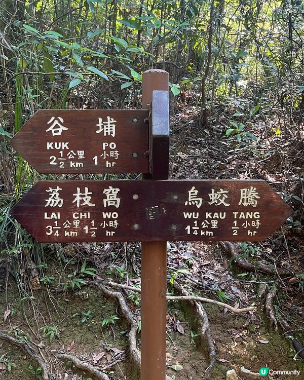 荔枝窩客家古村一日遊 🌿🚶‍♀️