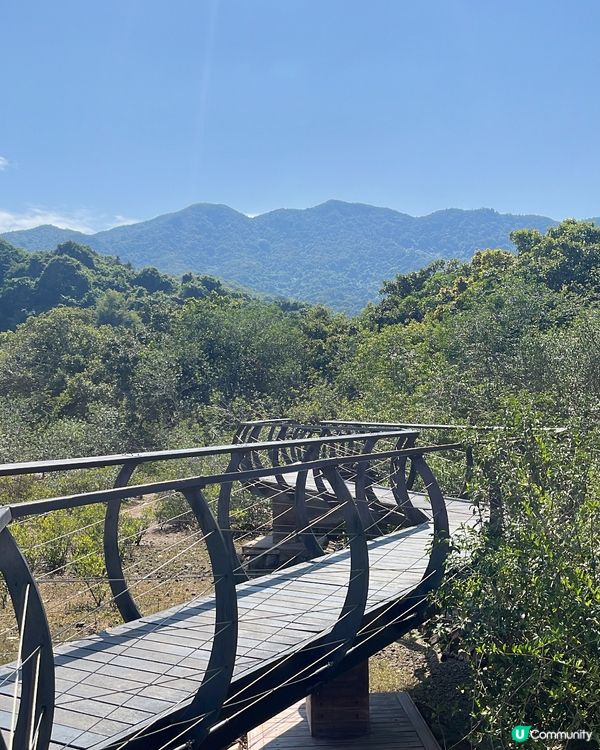 荔枝窩客家古村一日遊 🌿🚶‍♀️